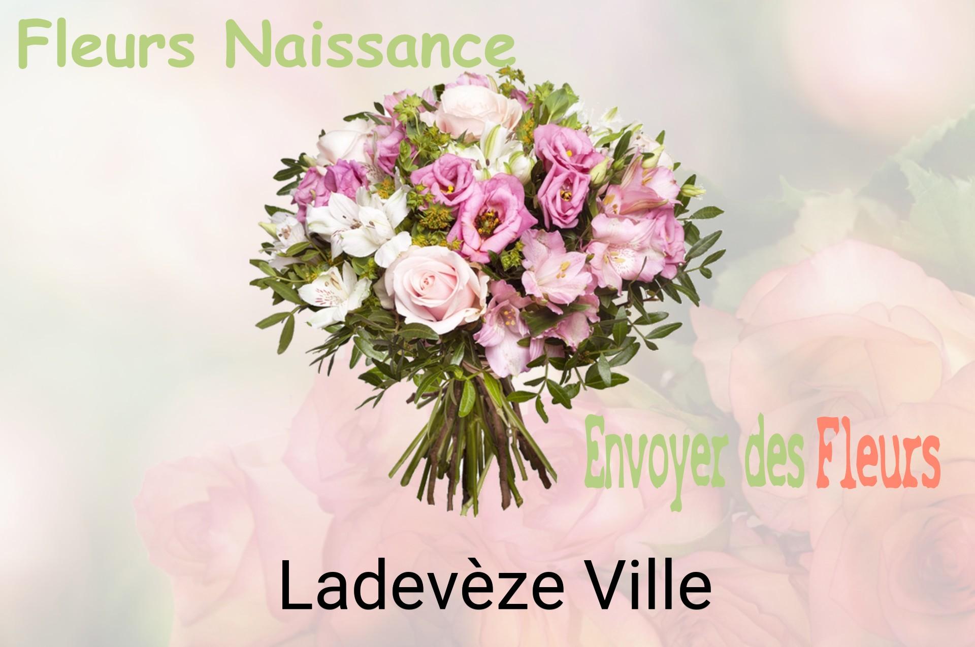 Bouquet de fleurs de naissance livré à Ladevèze-Ville