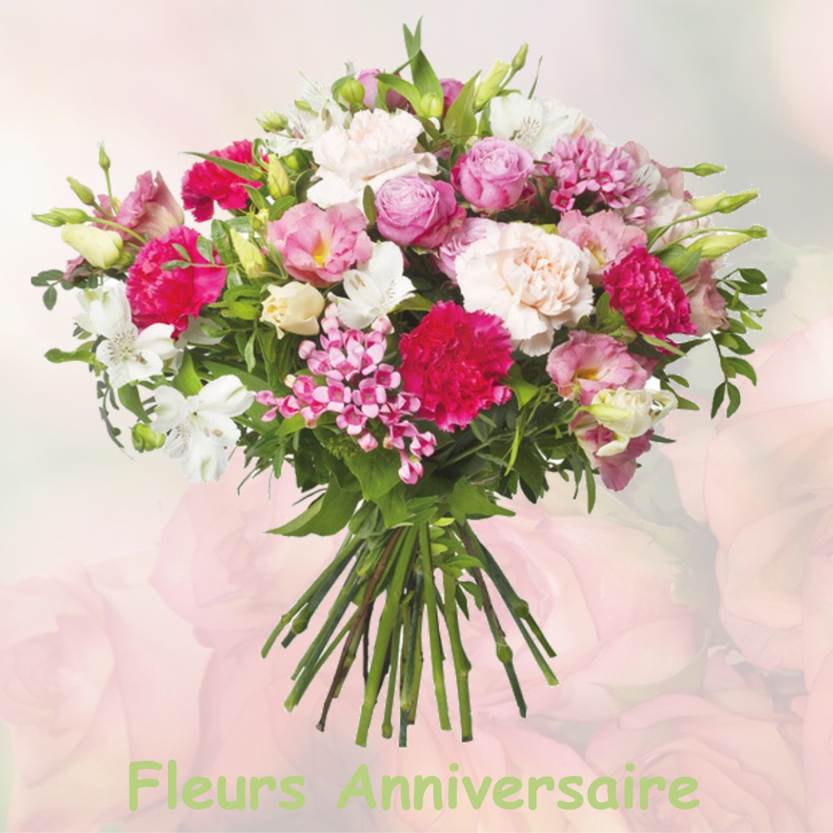 fleurs anniversaire LADEVEZE-VILLE